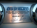 shelby01.jpg